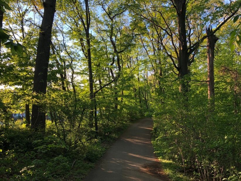  hiking trails new york