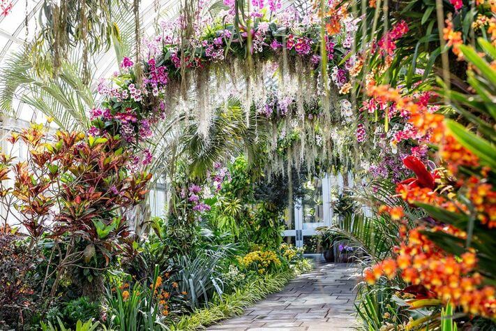 Lush greenhouse walkway with hanging orchids and tropical plants, featuring a floral arch, vibrant colors, and a stone path beneath.