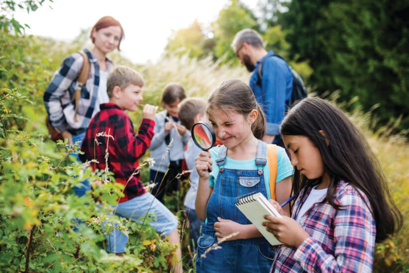 kids looking at plants at an overnight camp