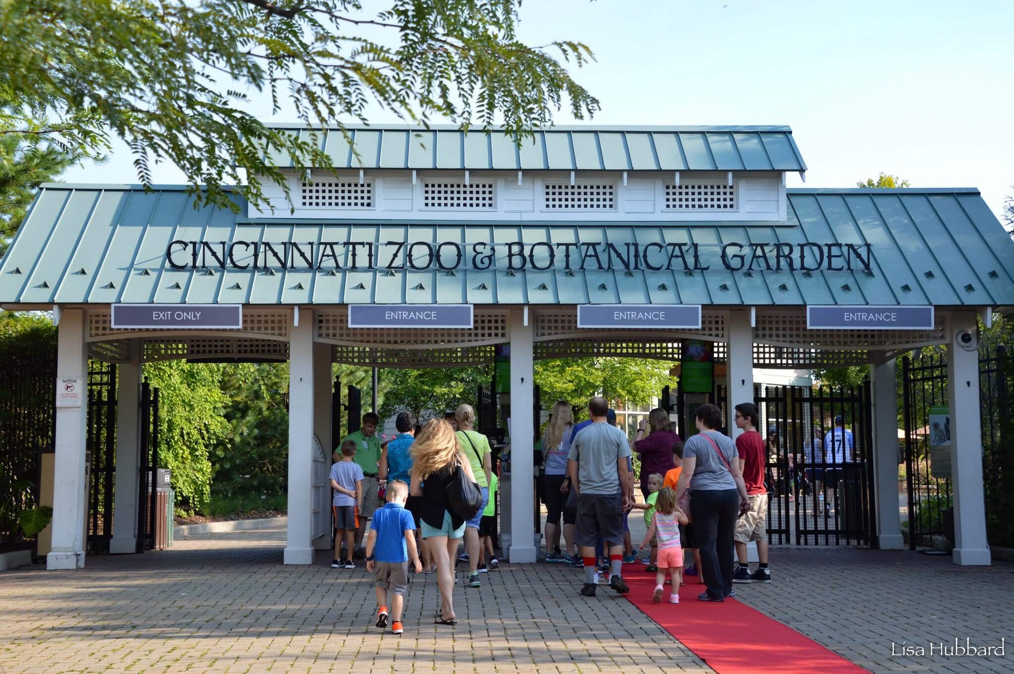 Watch the Cincinnati Zoo Livestream
