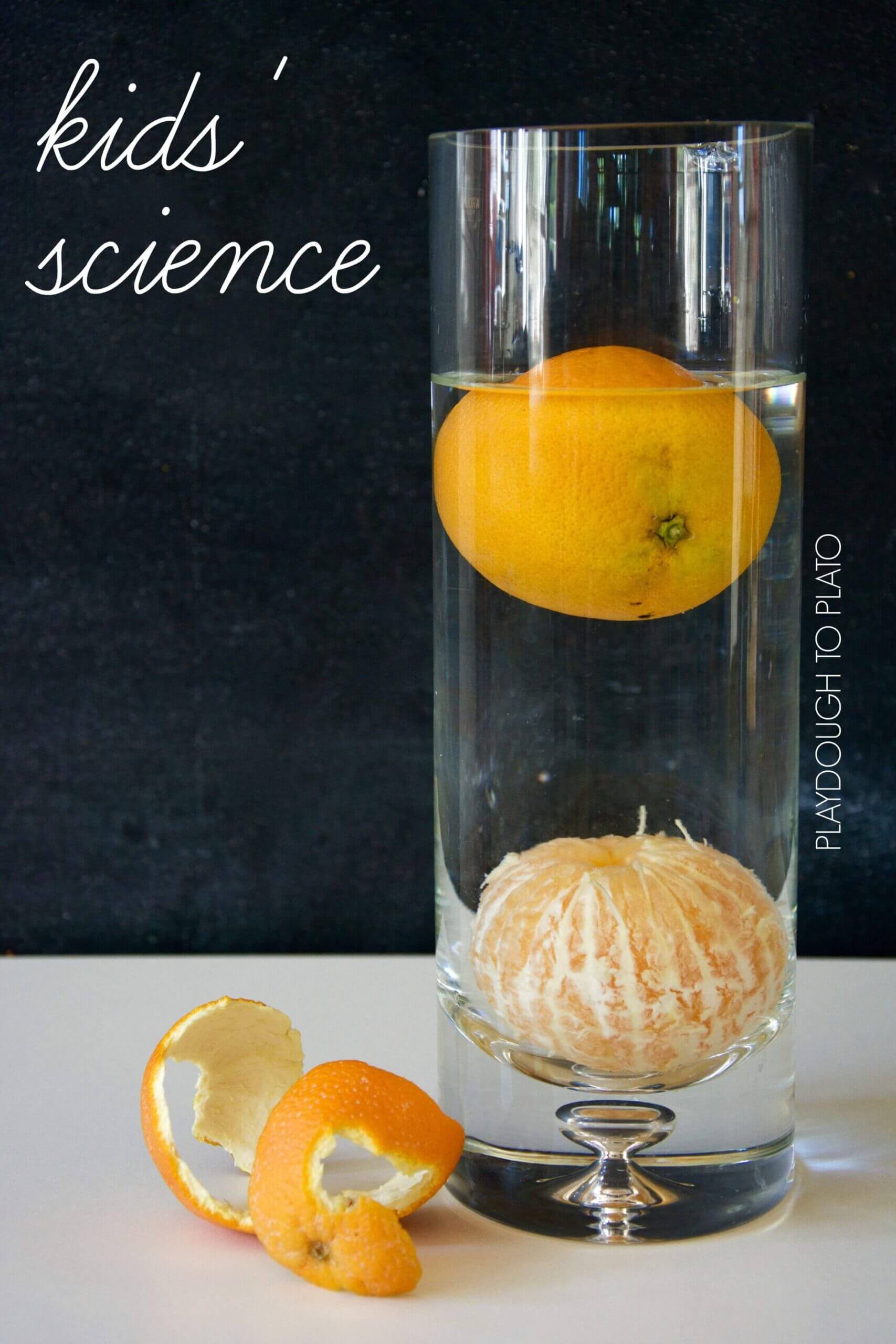 Orange Buoyancy Experiment