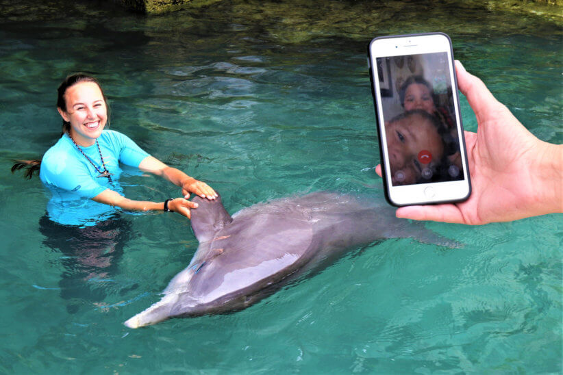 dolphin quest