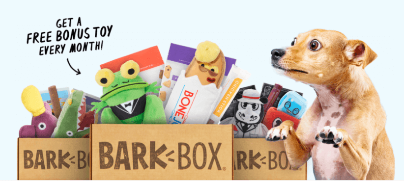 Dog with Bark Box 