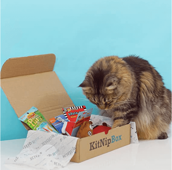 Cat with KitNip Box