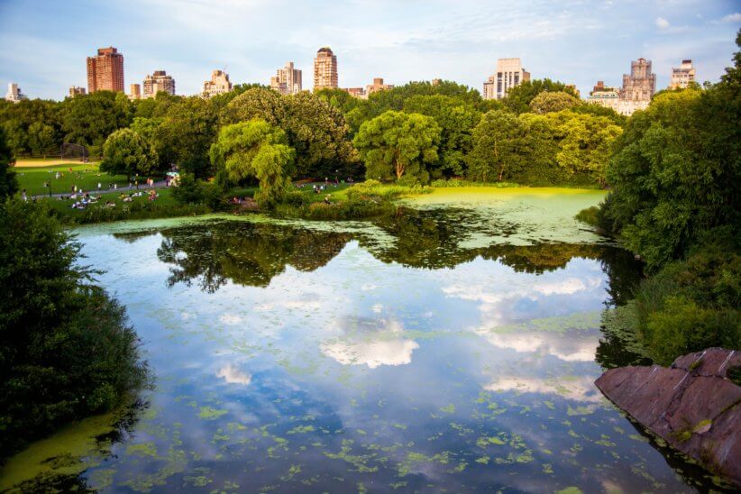 nature in nyc central park