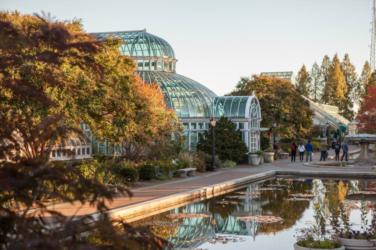 Reopening of Brooklyn Botanic Garden