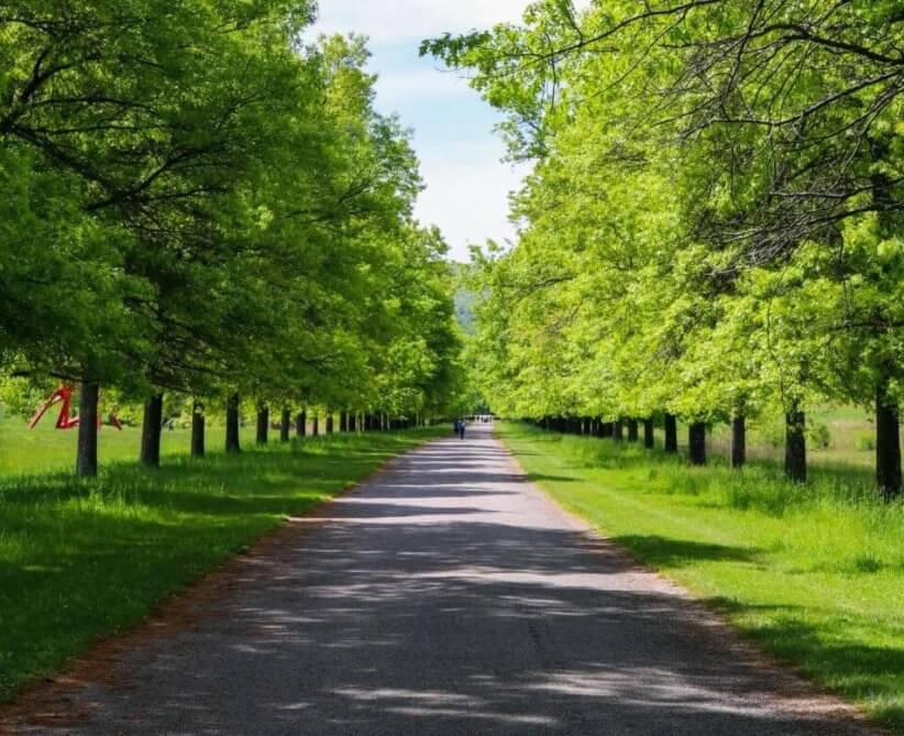 8 NYC Day Trips for Spring Break 2023 New York Family