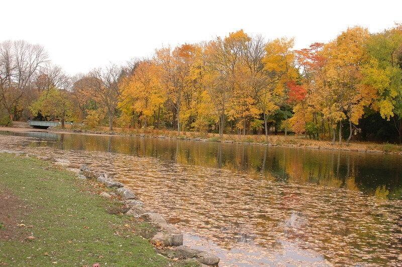 NYC Leaf Peeping and Fall Foliage in 2020 – New York Family