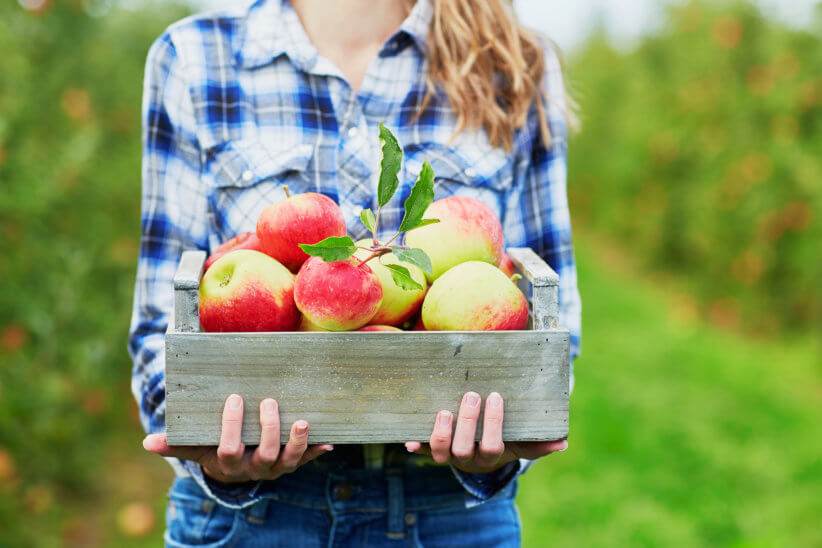10 ricette da fare dopo la raccolta delle mele