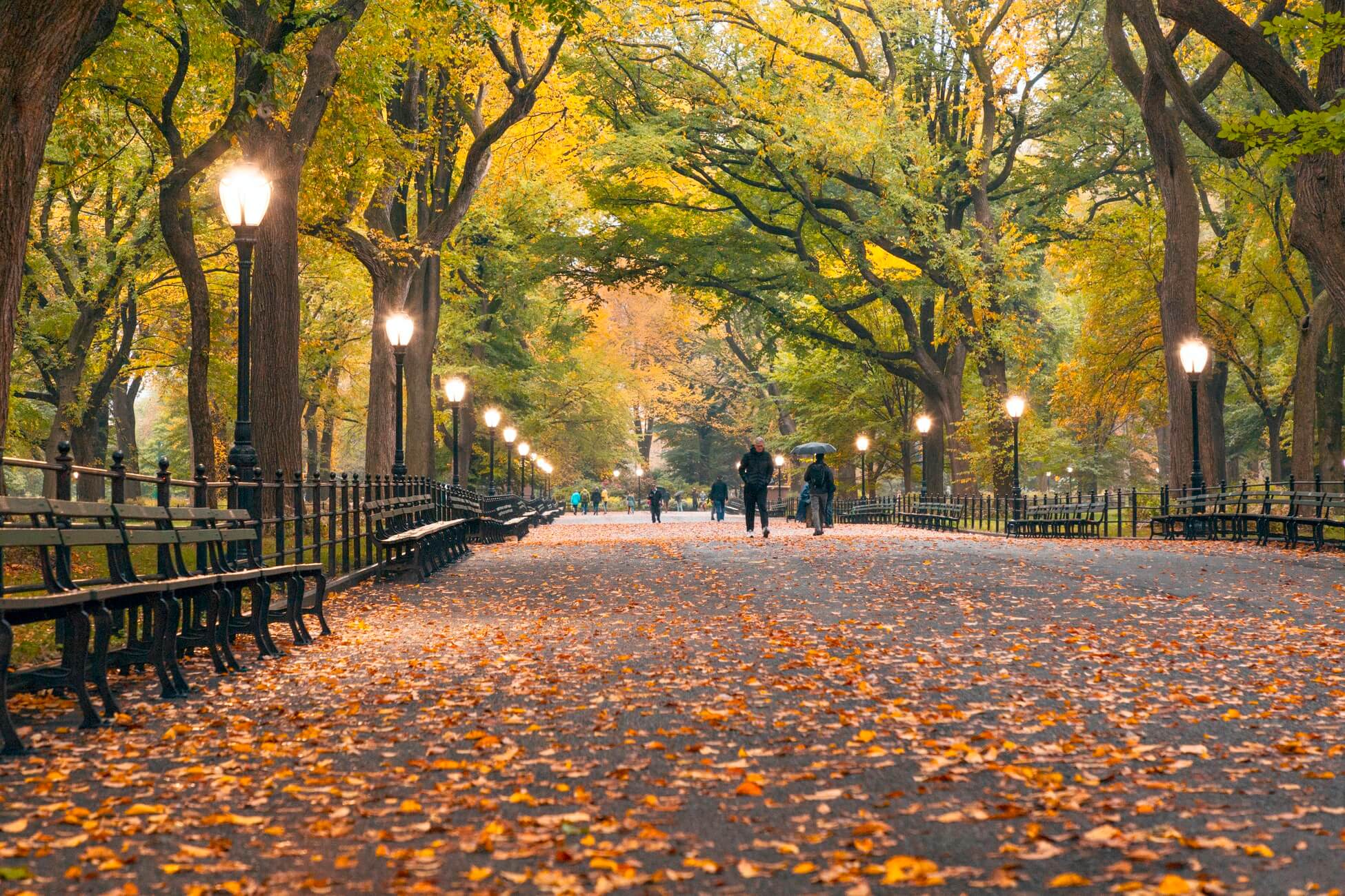 NYC Leaf Peeping