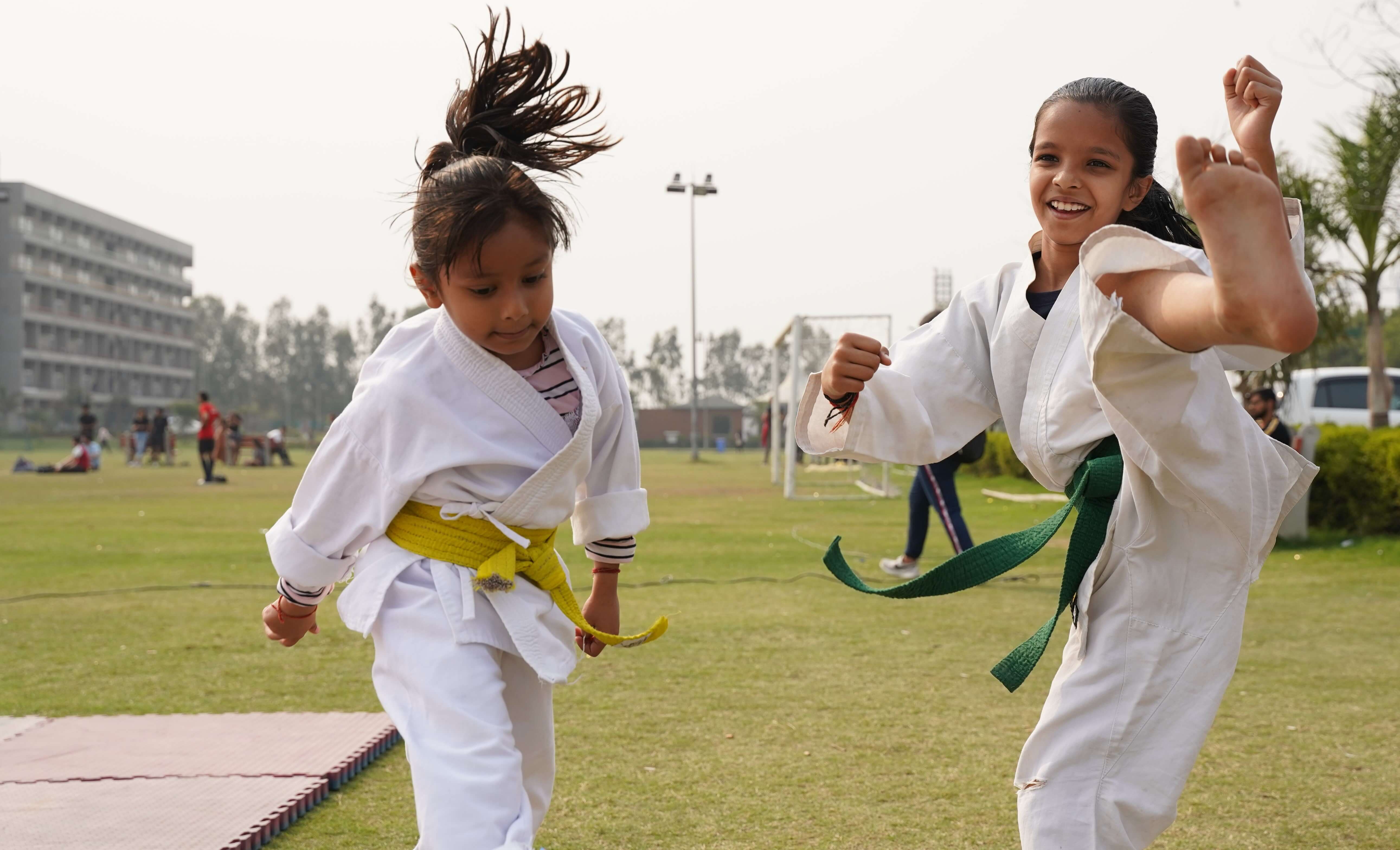 Virtual Martial Arts 