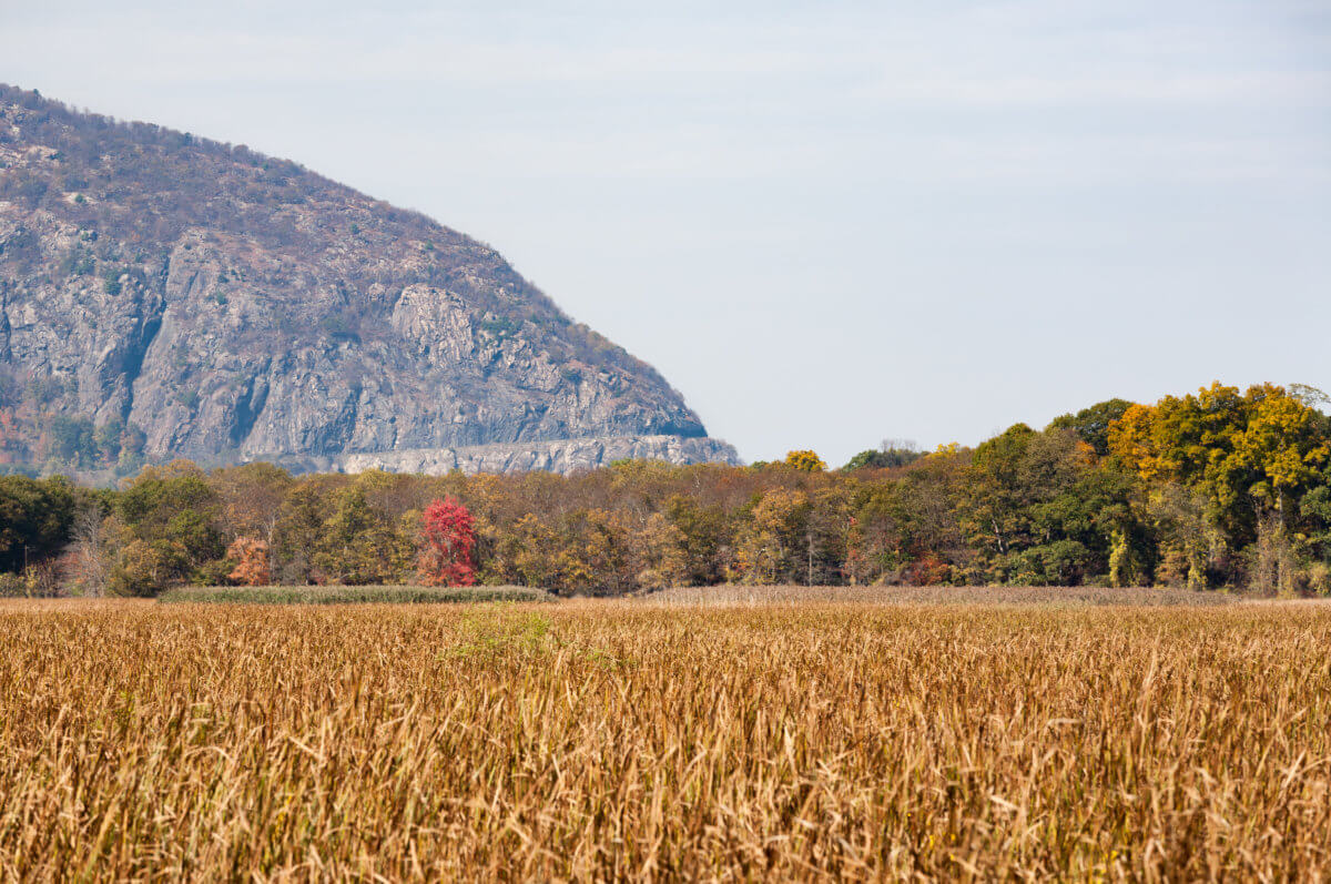 10 Best Fall Family Day Trips from New York City