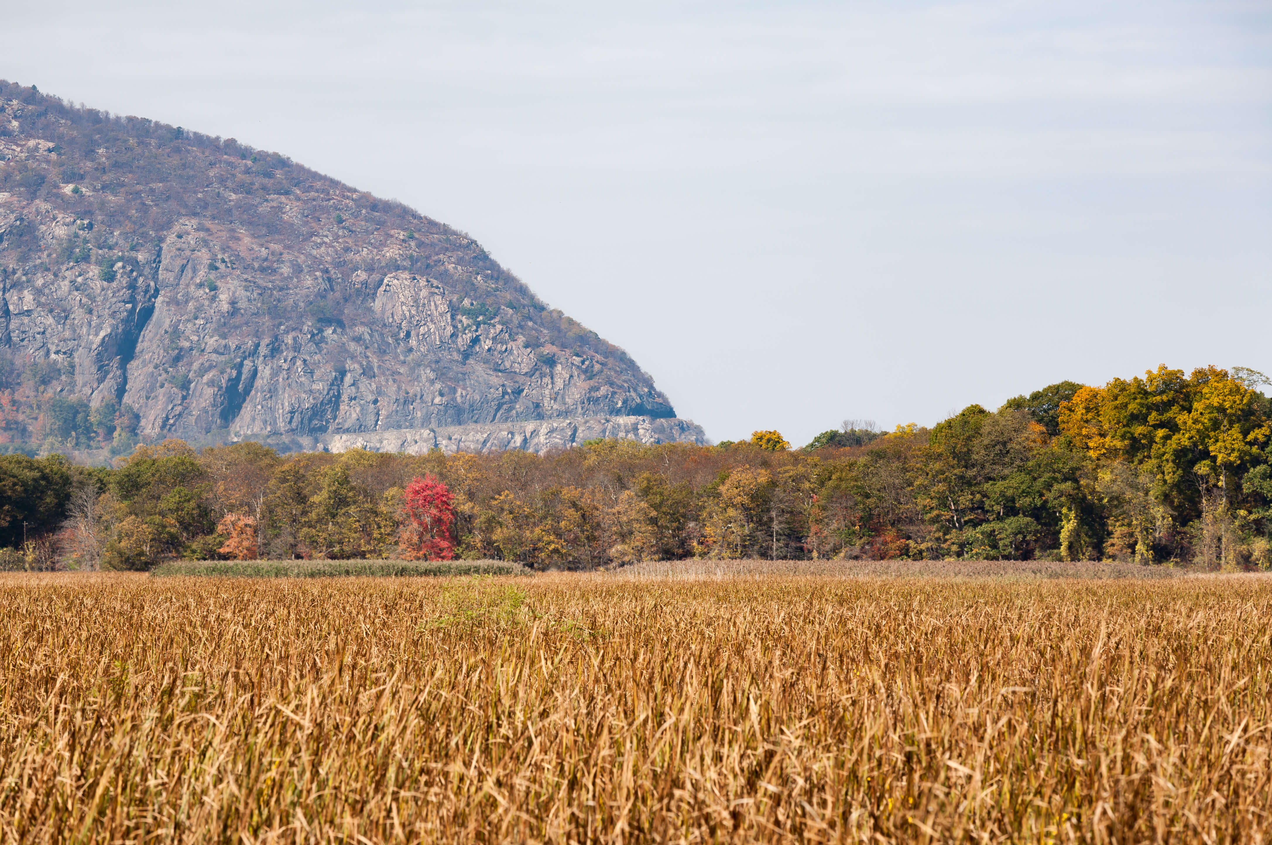 Fall Family Day Trips