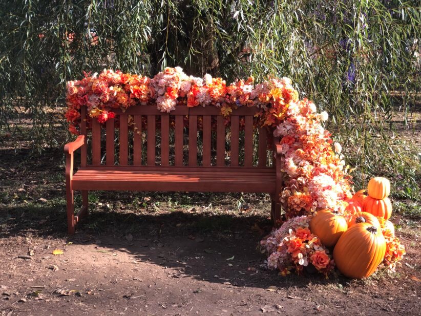 bench at floral escape