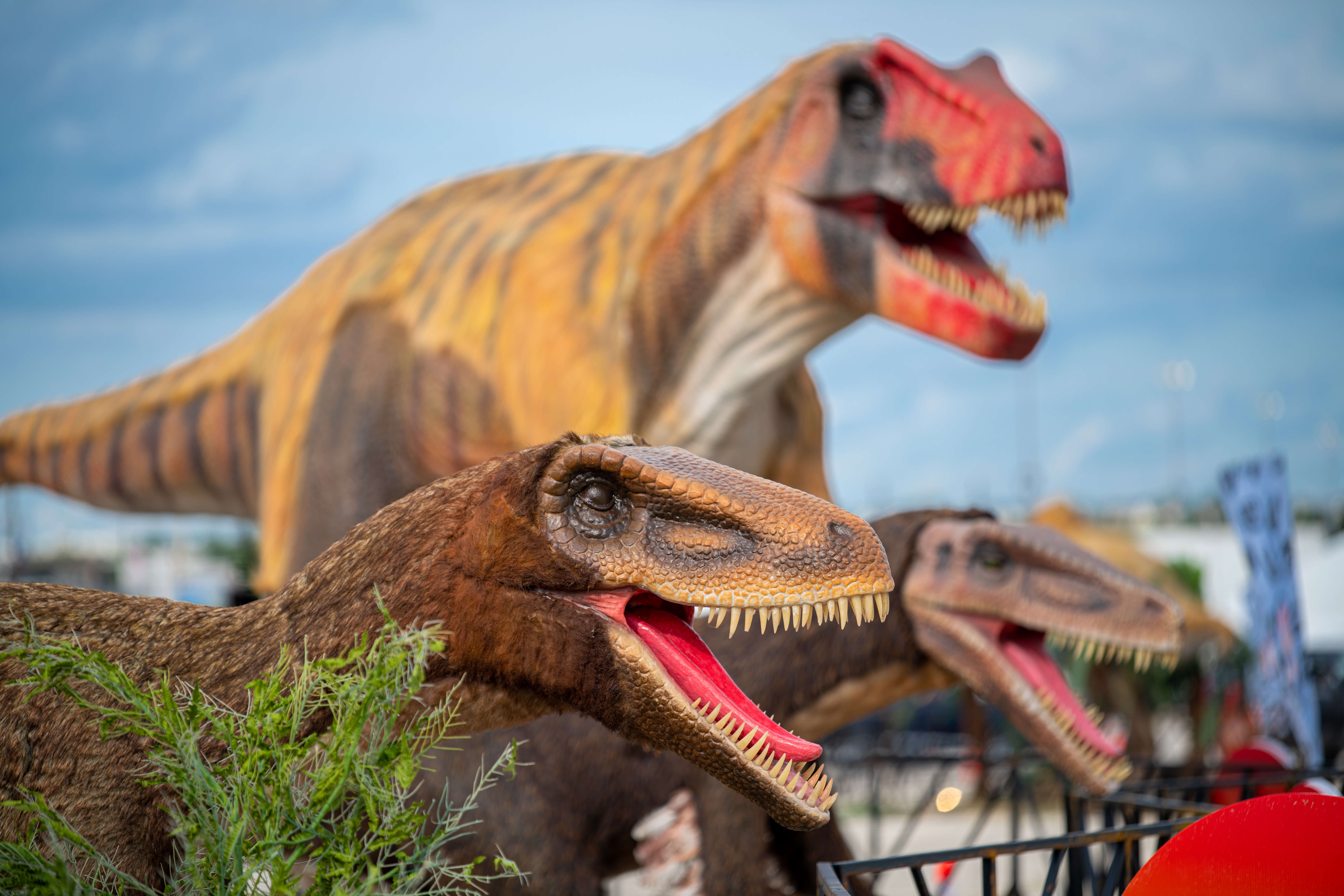 Check out these family-friendly pop ups this fall in New York City and beyond 4