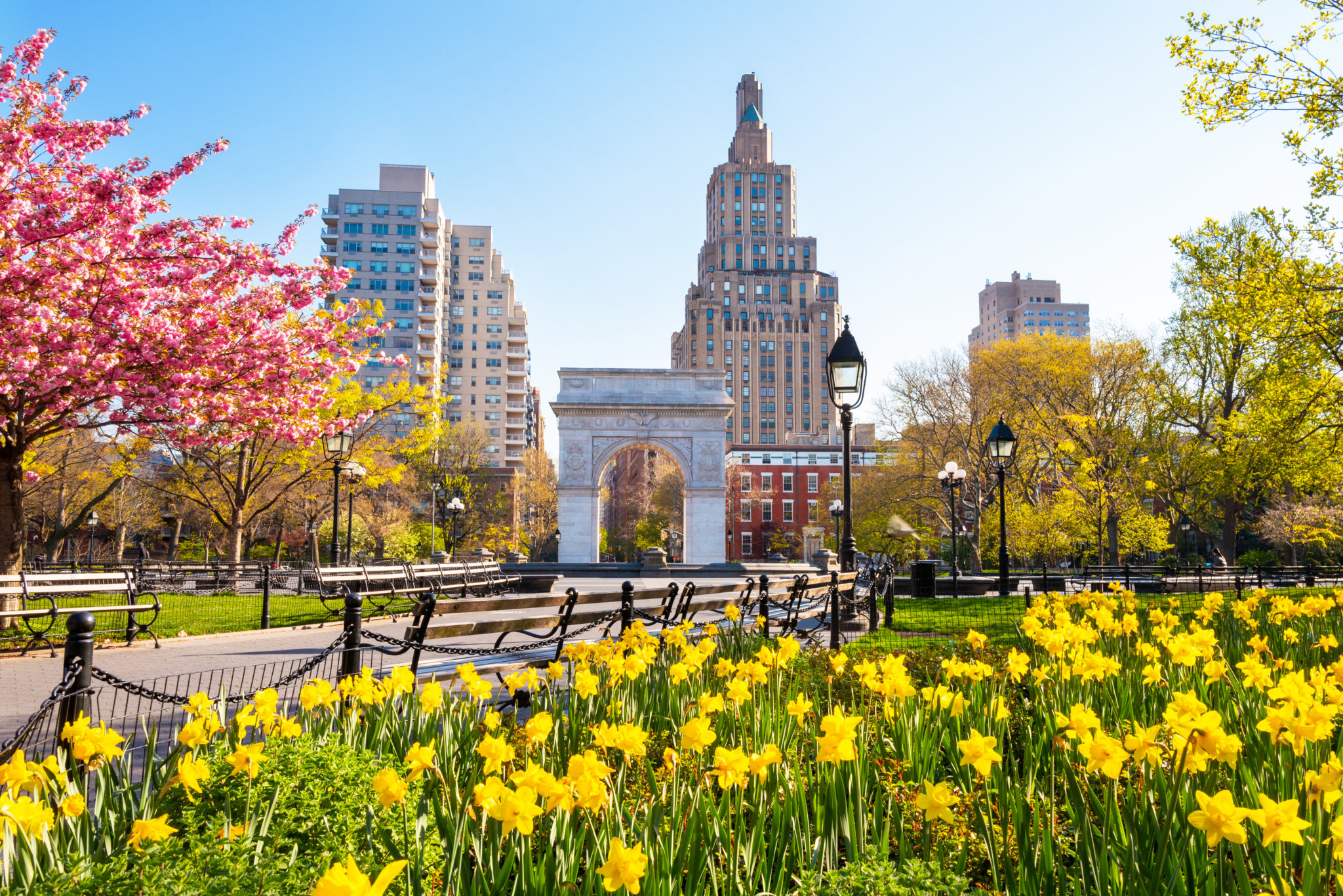 Where to See Spring Flowers in New York – New York Family