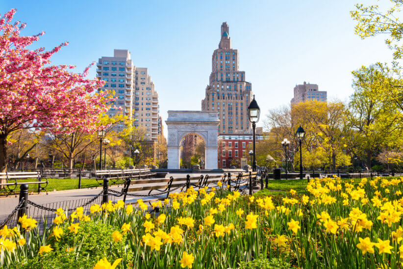 spring flowers in new york