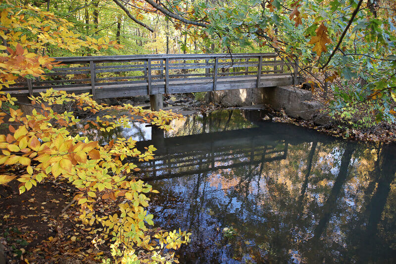 A wooden bridge found at Flat Rock Brook. The bridge crosses over a creek