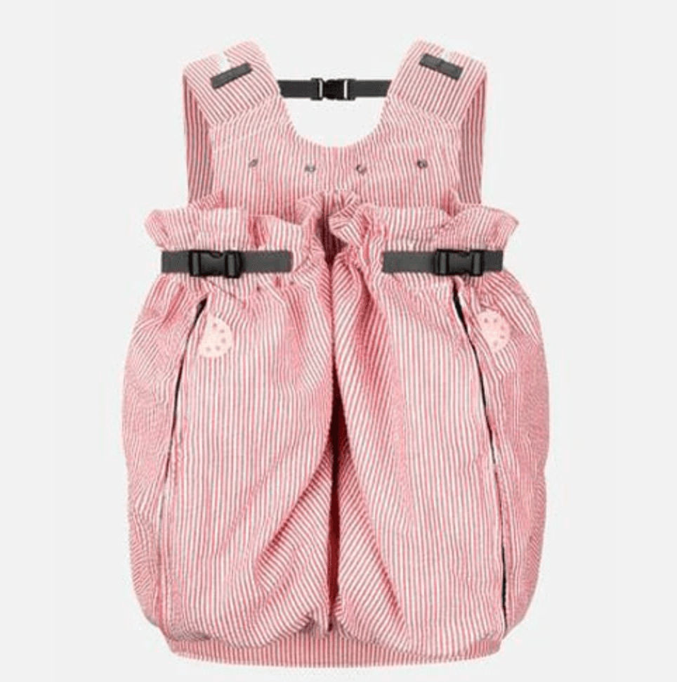 Top 11 Baby Carriers for New York City Moms 2021
