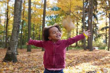 leaf peeping