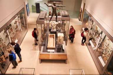 American Museum of Natural History