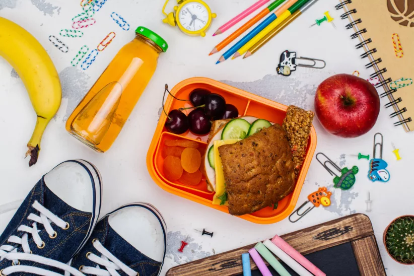 8 Best Long-lasting Lunch Boxes and Bags for Back-to-School