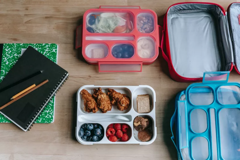 insulated lunch boxes and bags are a big plus when wanting to keep your child's lunch cool