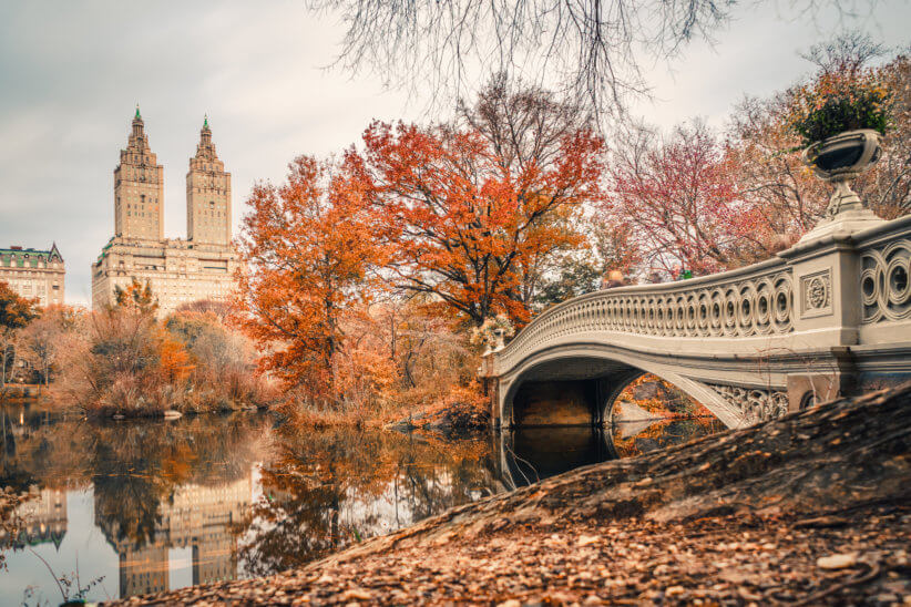 Central Park in the fall