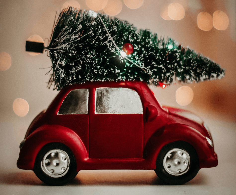 14 Best Christmas Tree Delivery Services in NYC for 2021