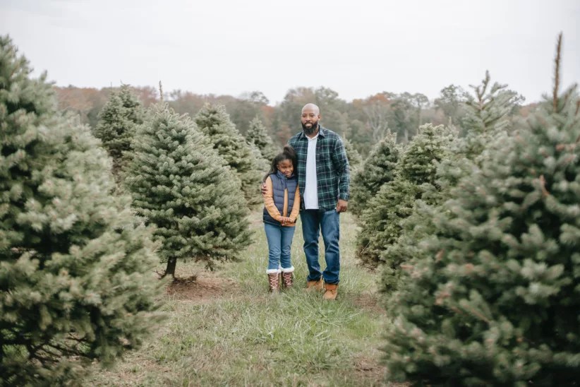 The Best 22 Cut-Your-Own Christmas Tree Farms Near NYC 