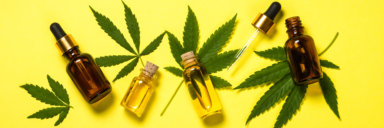 Cannabis oil and green leaves at yellow table.