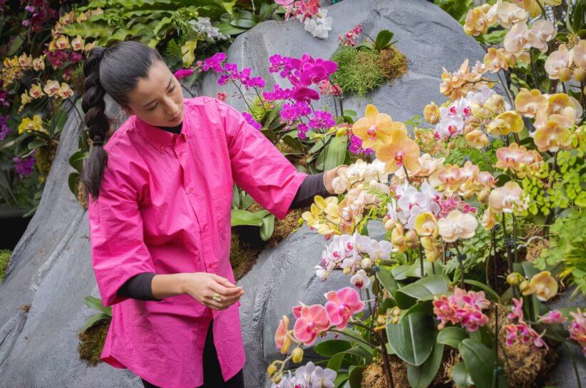 The Orchid Show Returns to NYBG for its 20th Year