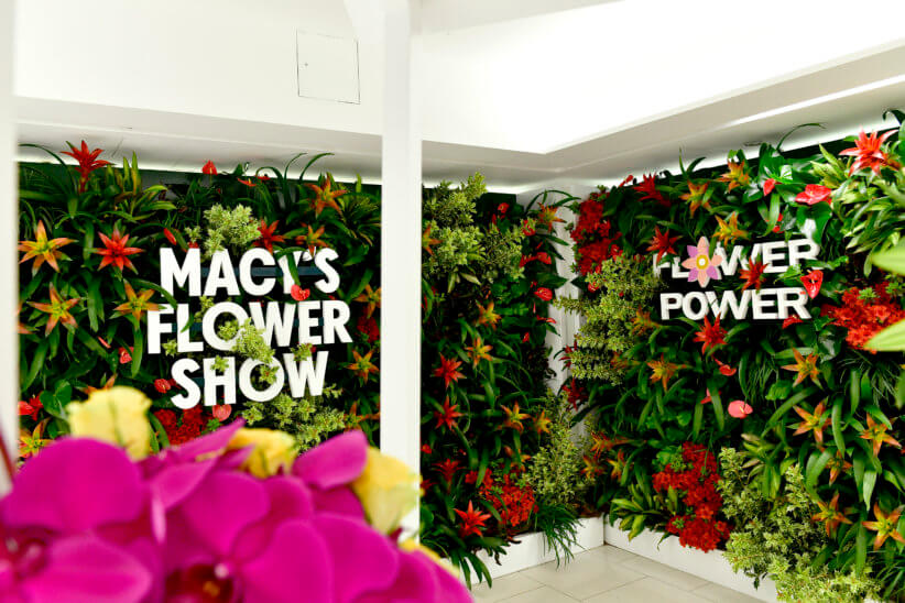 Macy’s Flower Show 2022 Opens March 27th! New York Family