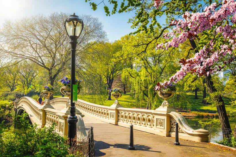 NYC Spring Bucket List: The Ultimate Insiders Guide for Families