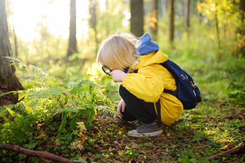 Camp teaches you about nature