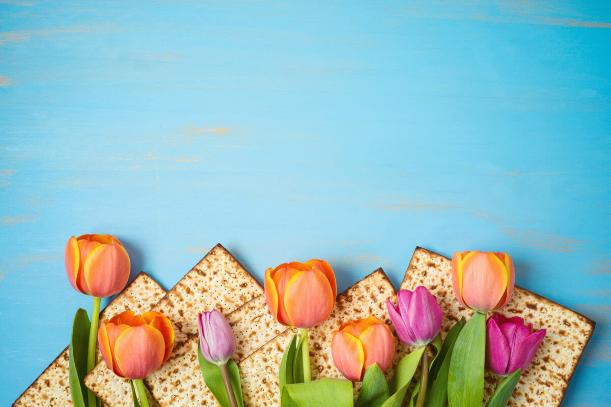 Passover 2022 FamilyFriendly Events and Activities Around NYC!