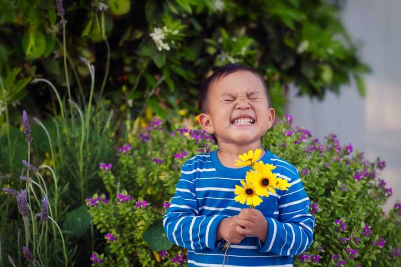 A young child in a blue striped shirt stands in a garden holding yellow flowers, surrounded by lush green and purple plants.