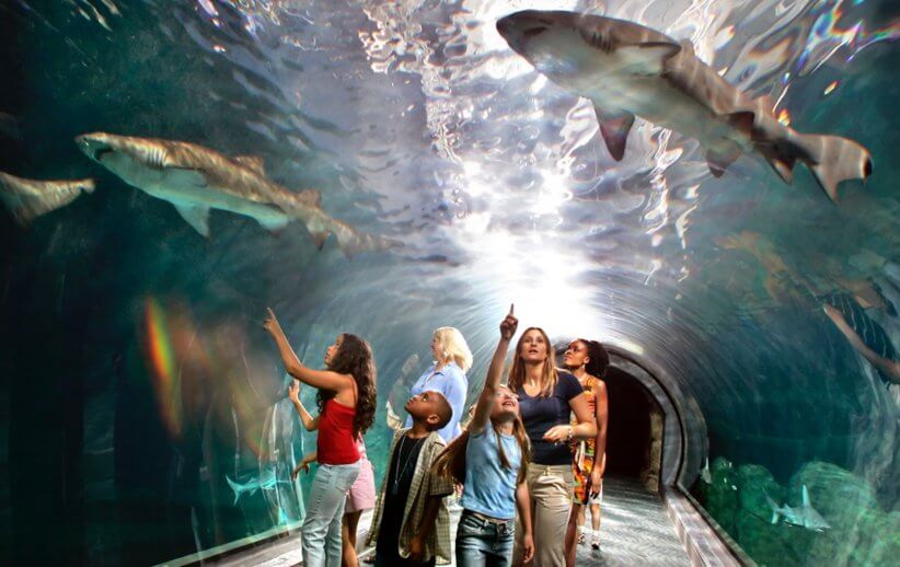 Year -Round Family Fun in New Jersey