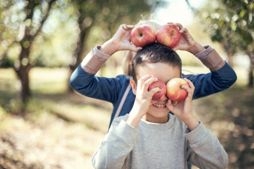 9 Best Places For Apple Picking on Long Island
