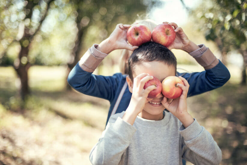 Take a day trip to Rockland and take in Fall and apple picking