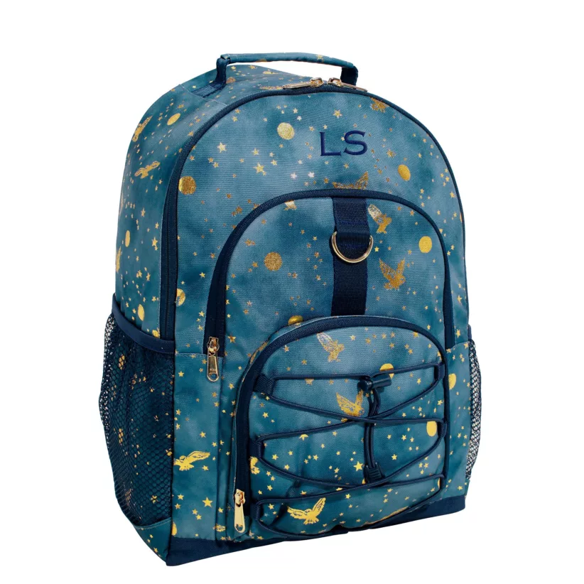 Best Spacious Backpack for Middle school and up:Pottery Barn Teen Harry Potter