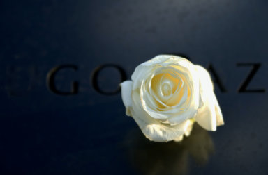 9/11 memorial and birthdate rose