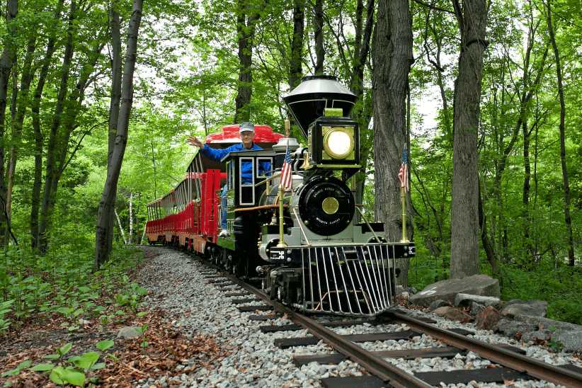 
A colorful miniature train with a black engine and red, blue, and gold accents travels through a lush green forest on narrow tracks.