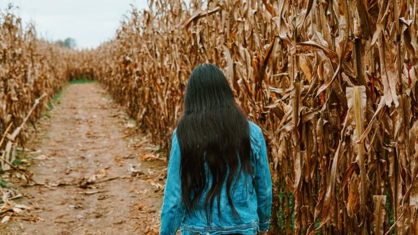 Best Kid-Friendly Corn Mazes Near New York City 2022