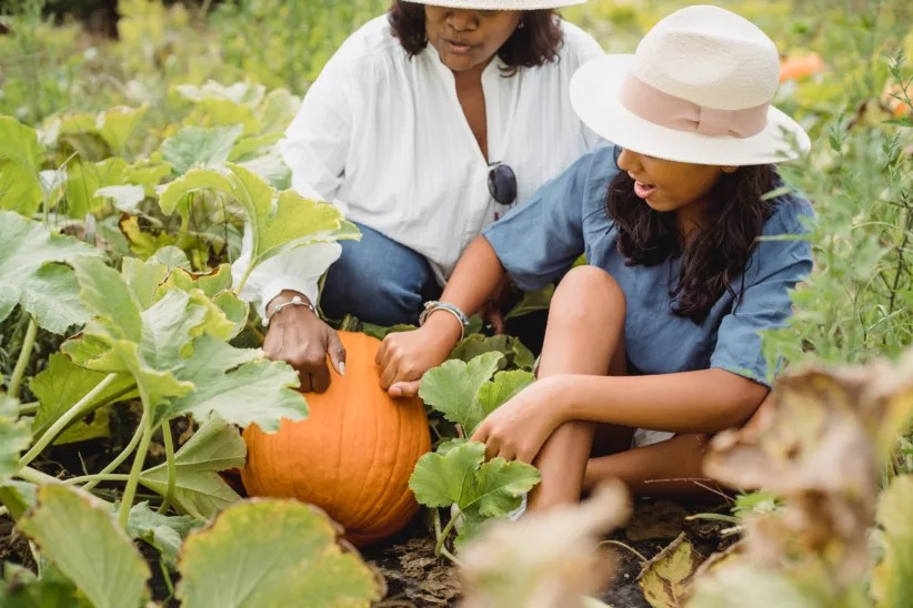 Pumpkin picking is always a good idea come fall