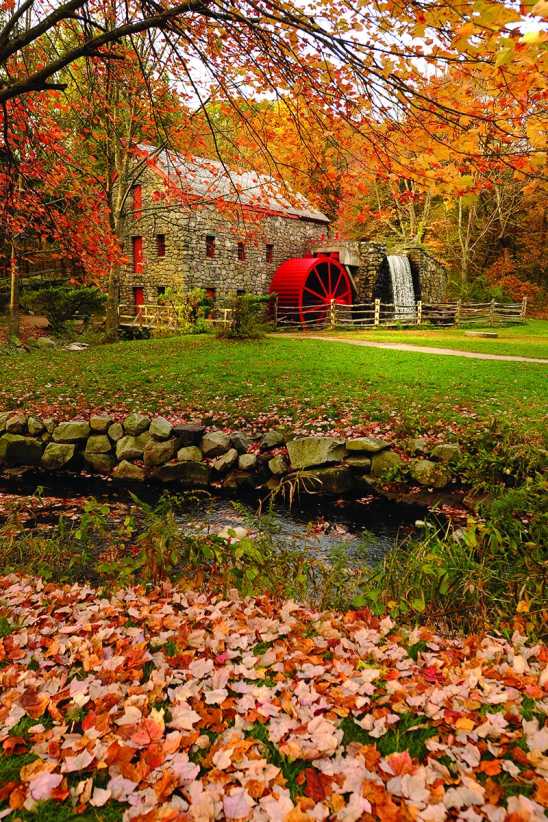 A stone mill with a red waterwheel sits amid vibrant autumn trees, fallen leaves, and a small stream in a picturesque park setting.