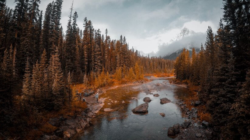 The 10 Best Fall Hikes In and Around New York