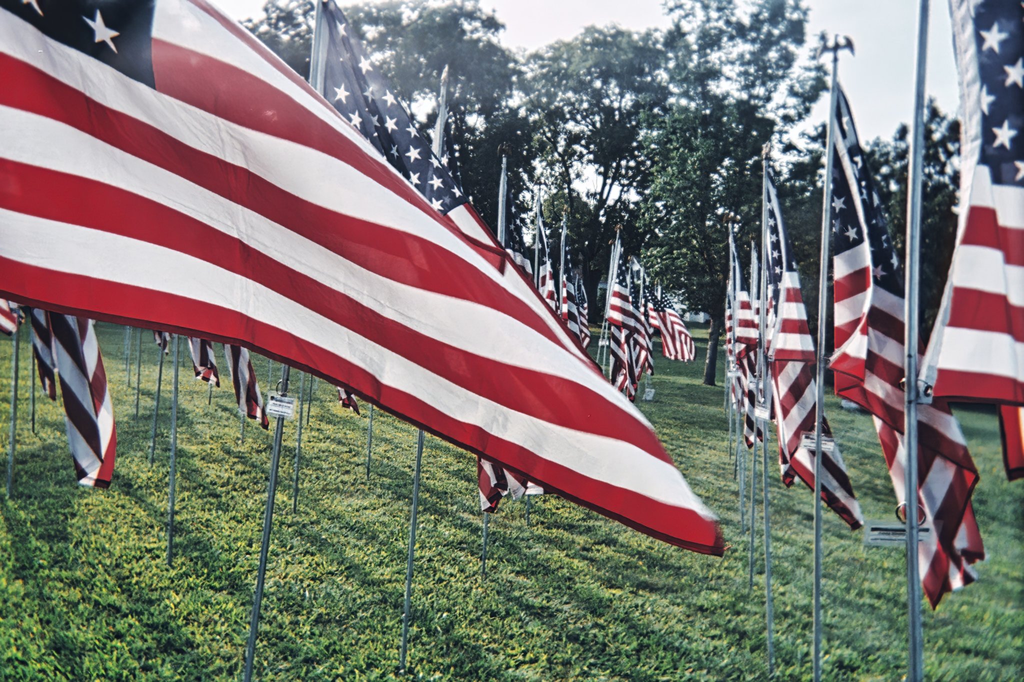 Wawa veterans day free coffee