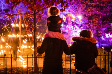 Brooklyn Botanic Gardens Lightscape Makes the Holidays Shine