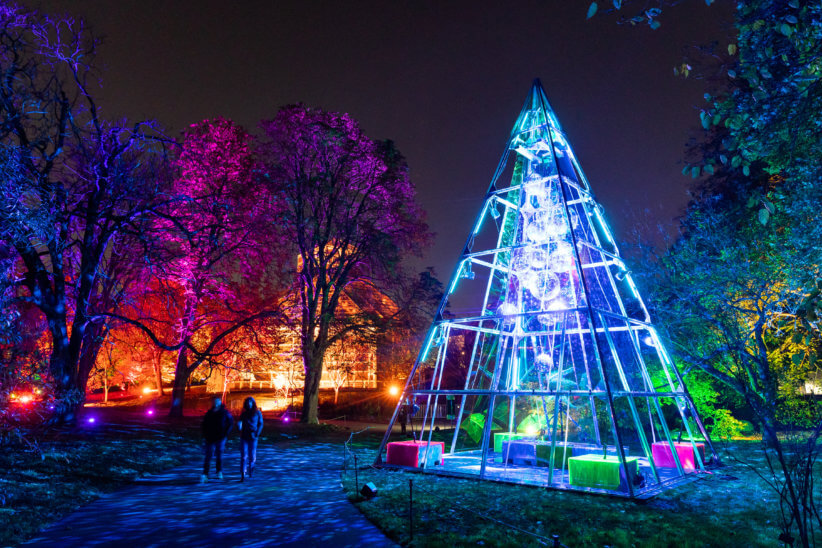 Brooklyn Botanic Gardens Lightscape Makes the Holidays Shine